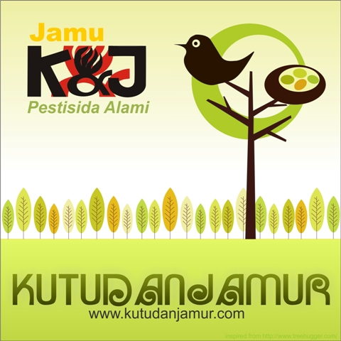 Online Order : www.kutudanjamur.com